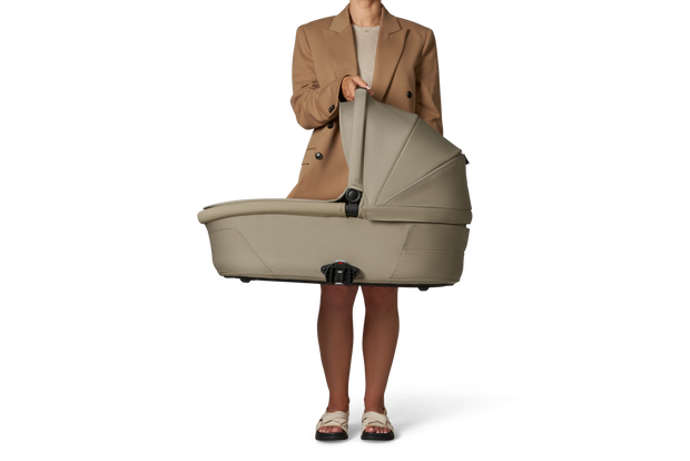 From New Born to 4 years with bassinet