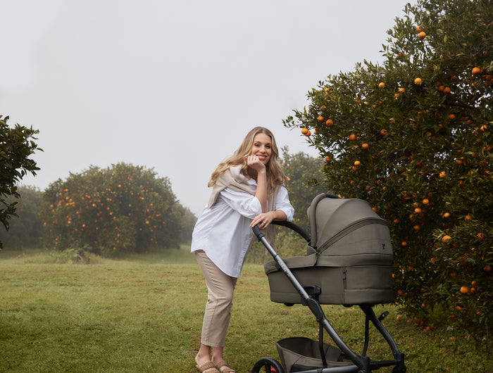 undefined JIVE⁵ undefined JIVE⁵